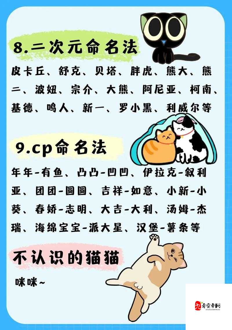 猫咪 www 最新地域网名怎么取的独特取名思路探讨