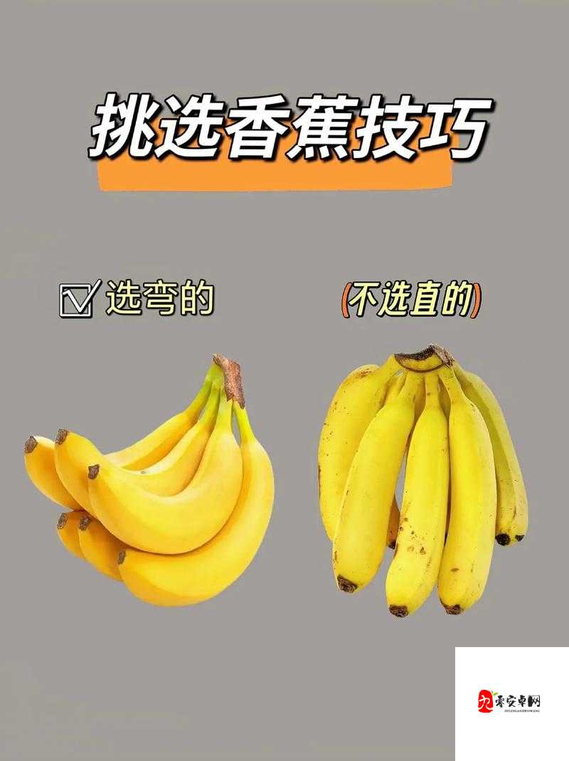 2019 最新香蕉在线：教你如何挑选美味的香蕉