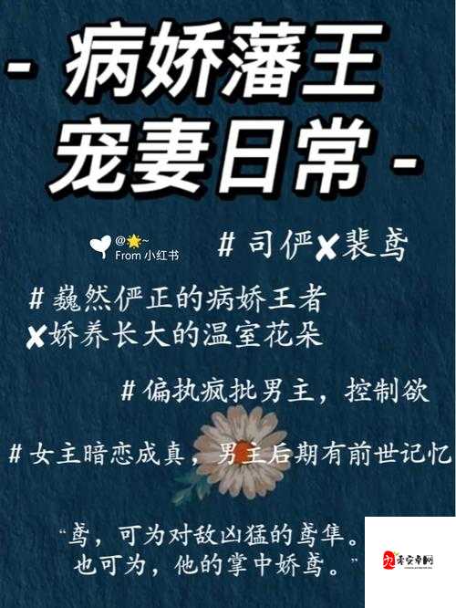 结婚以后 1v1 沈倾温教授的简介：关于他们婚后的故事