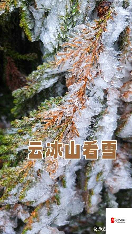 震撼两座雪白玉峰如精灵般弹跳而出