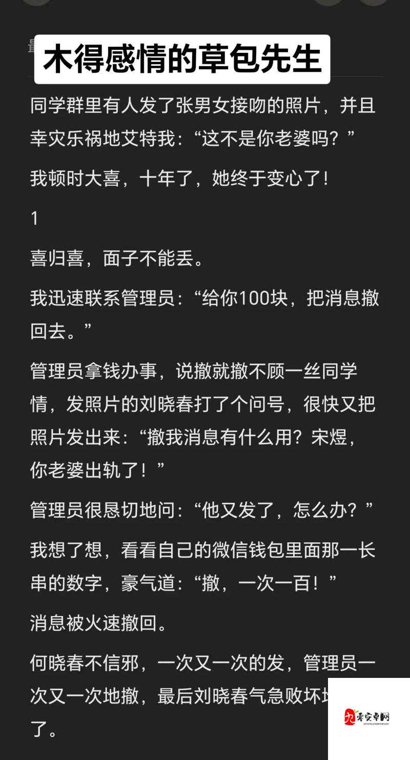 老旺儿媳妇秦雨小说全文免费阅读：精彩故事不容错过