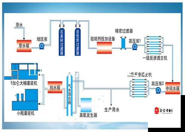 日本双渗透现象的深入剖析与探讨