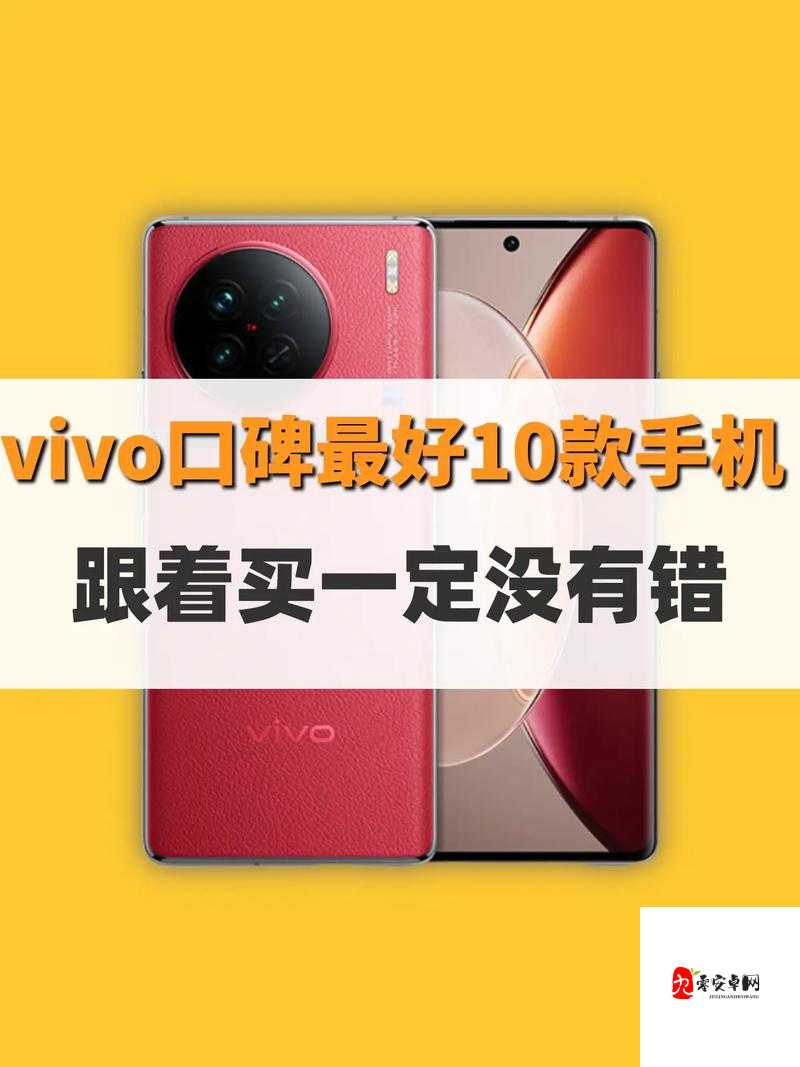 3.0.3 免费 vivo 版破解大全 2023 相关内容详细介绍