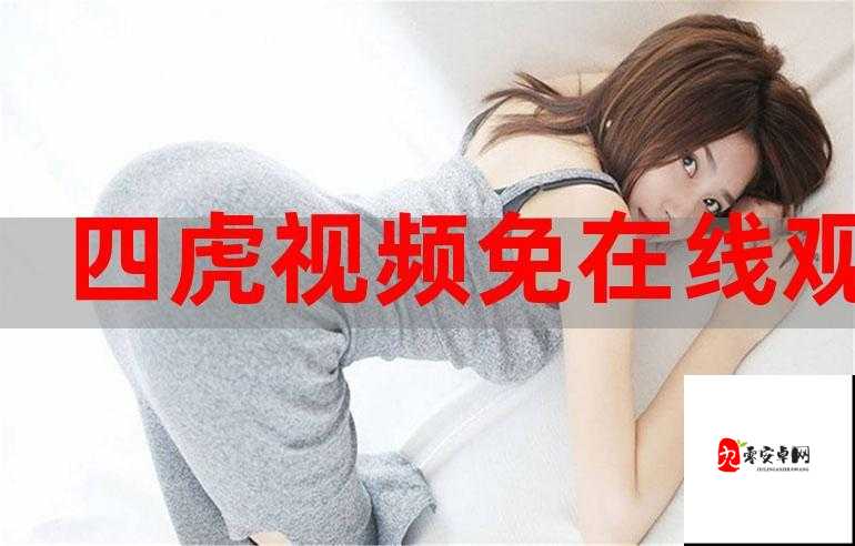 四虎最新紧急入口：畅享精彩视频，尽在此处