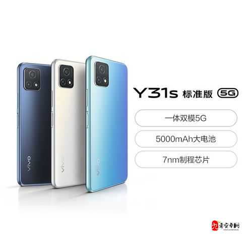 成色好的 y31s 标准版官网翻新太慢了：用户的无奈与期待