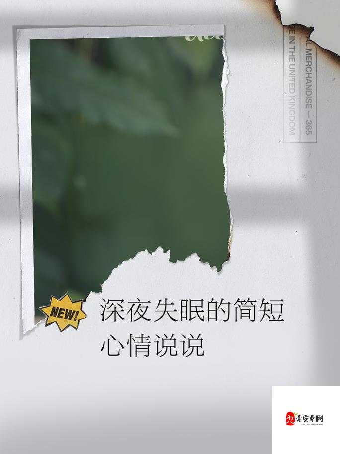 晚上控制不住乱想且精神越来越难以入眠该如何应对