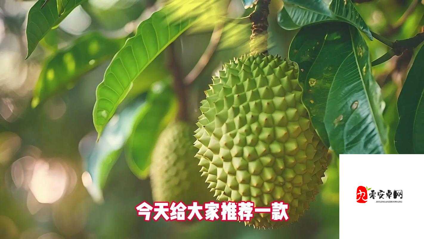 榴莲短视频 APP：畅享榴莲魅力的精彩世界