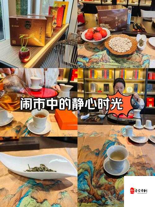 300 一晚同城约茶：邂逅别样茶韵与美好