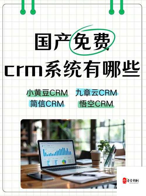 国产永久免费 CRM 系统：助力企业高效管理新利器