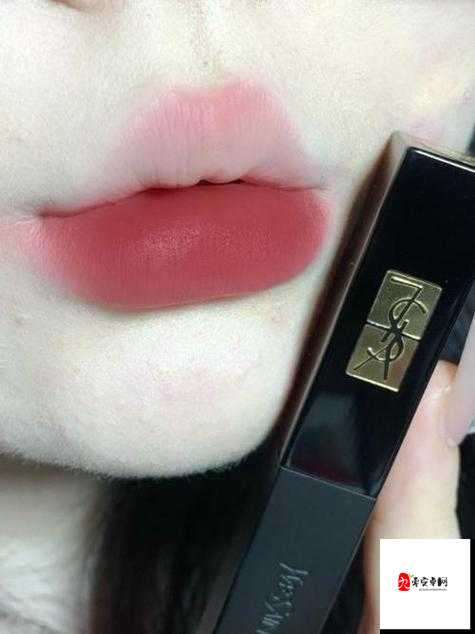 YSL 水蜜桃 86A：展现迷人魅力的时尚美妆之选