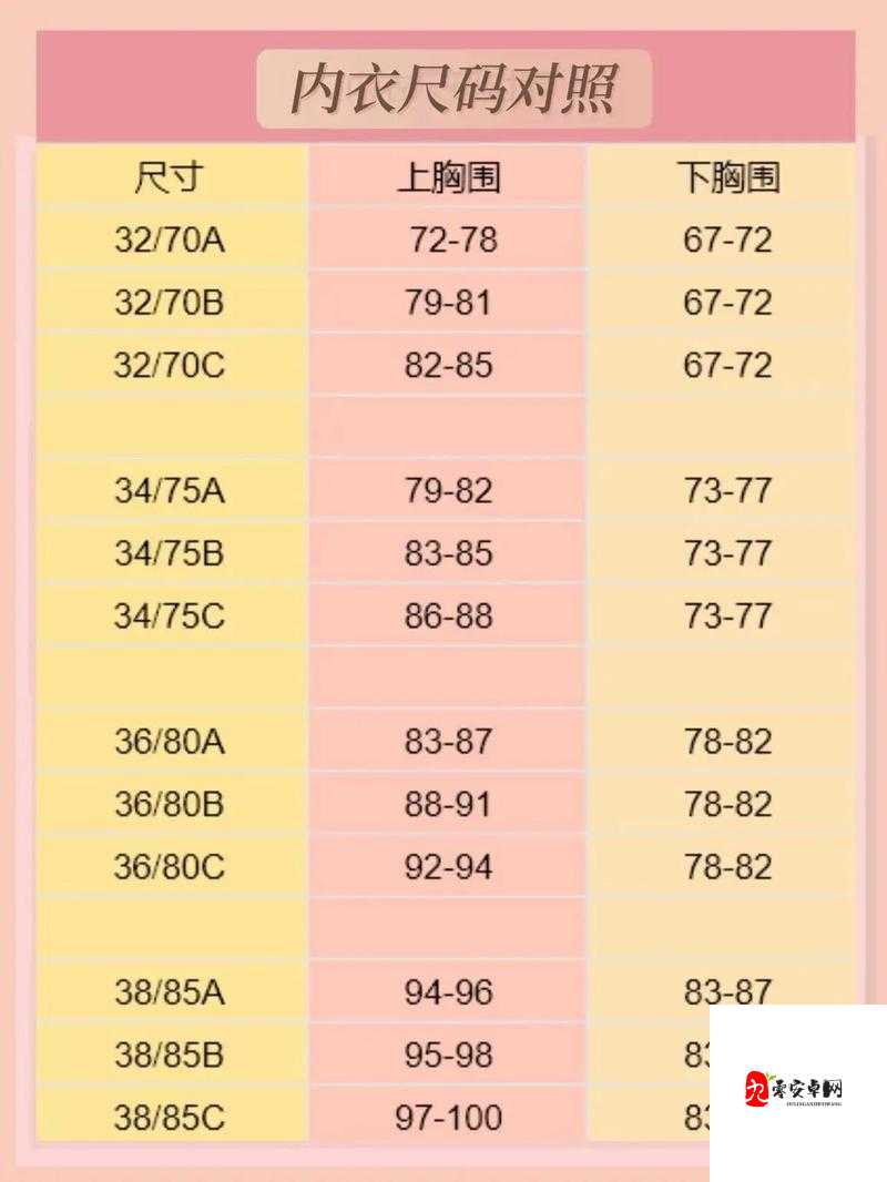 日本 LL 码即 XL 码：关于尺码标准的独特解读