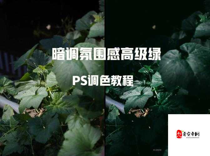 免费 PS 大片调色视频软件下载：轻松上手，打造专业大片效果