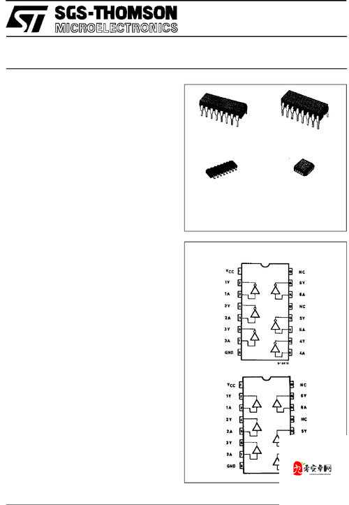 欧亚尺码专线欧洲 b1b1 发布最新通告：关于具体内容的详细说明