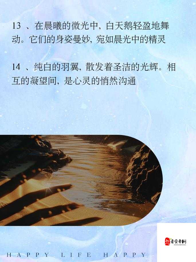 影之诗WLD主教金卡揭秘，白天鹅的蜕变，召唤黑天鹅的奥秘