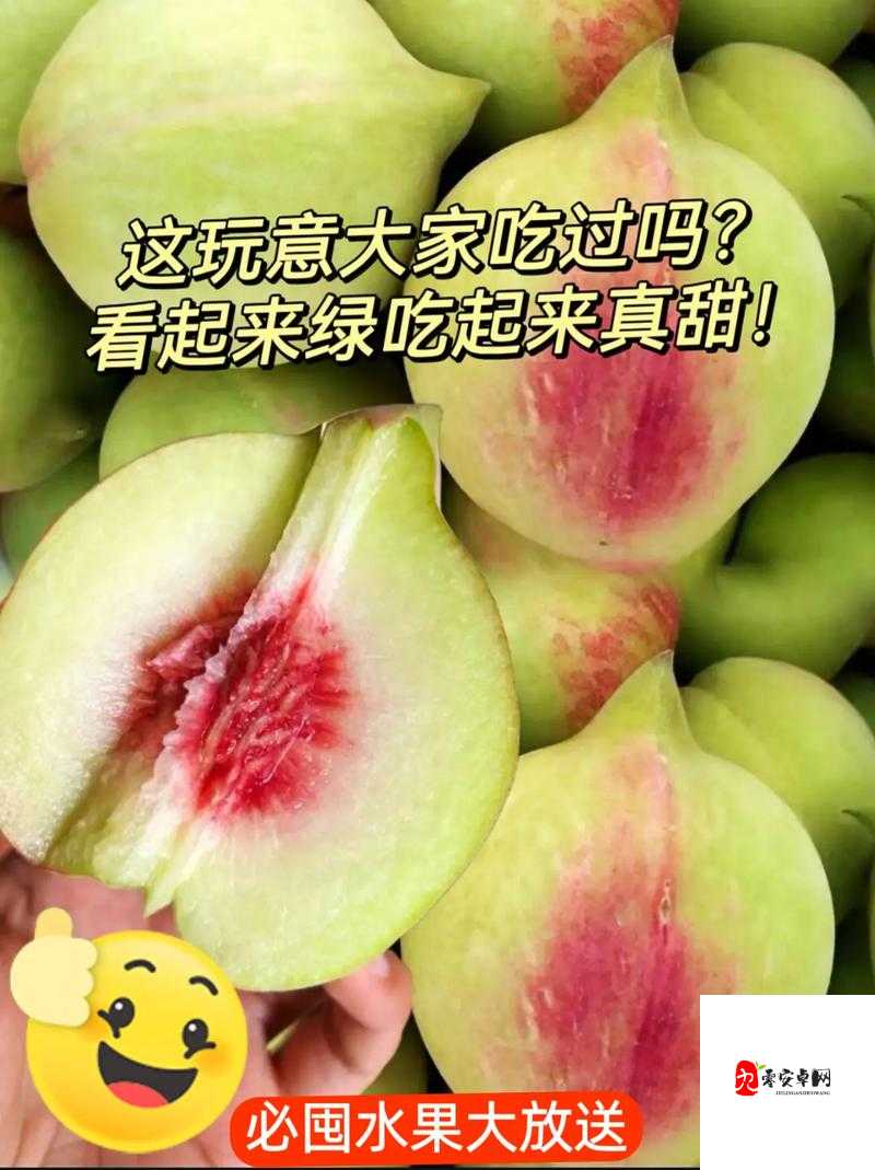 草莓樱桃水蜜桃的甜蜜滋味大揭秘