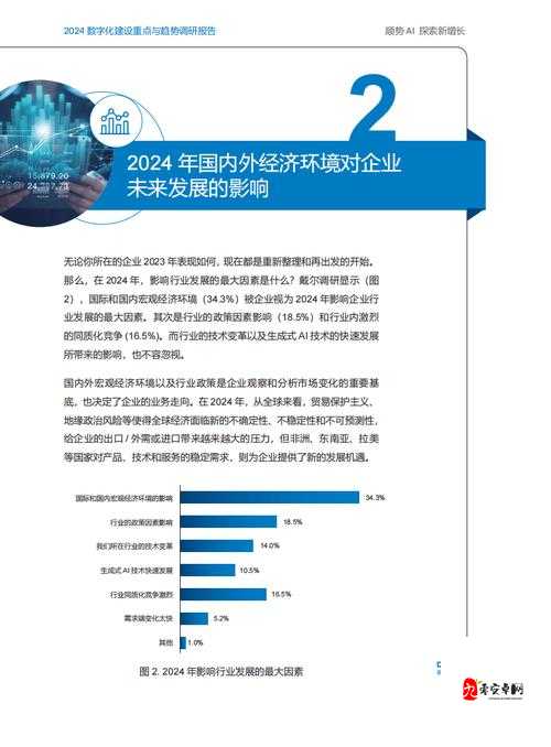 黄台软件 2024 下的全新探索与发展方向