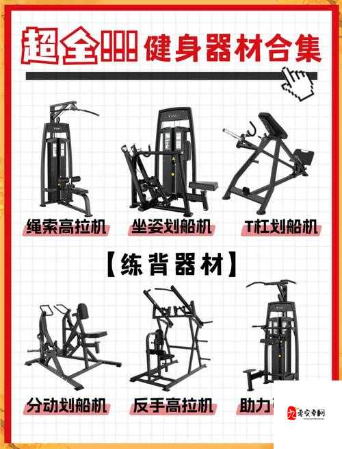 下课后的体育器材室：学生们最爱的放松场所与器材使用全攻略