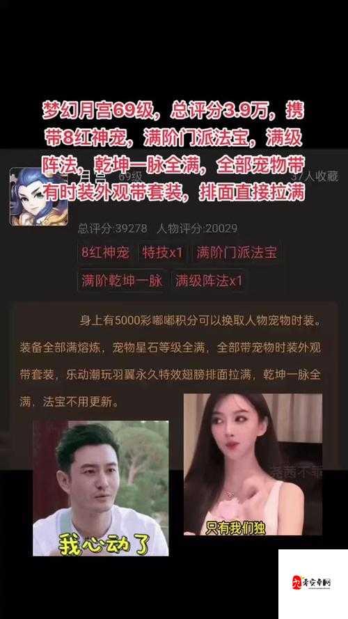 梦幻西游手游苍白炼妖13技评分宠视频在资源管理中的重要性及高效利用策略