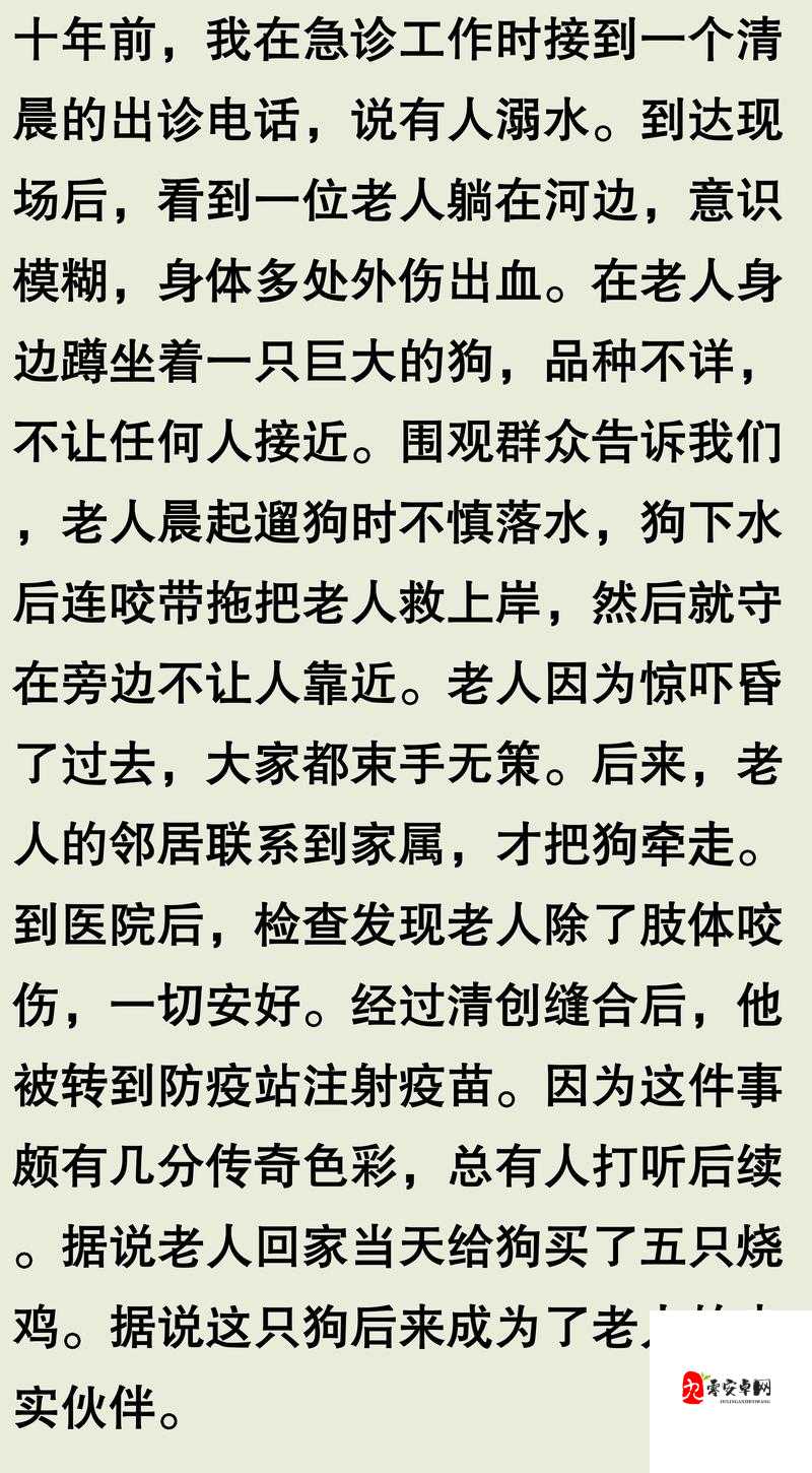 人与动物交配是否违背伦理？专家解读背后的道德与法律考量