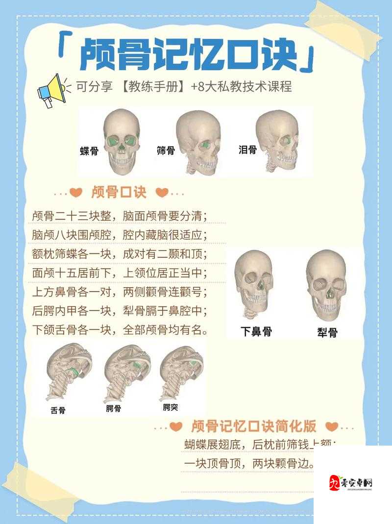 为什么要购买真人头骨？哪里可以购买到真人头骨？购买真人头骨是否合法？