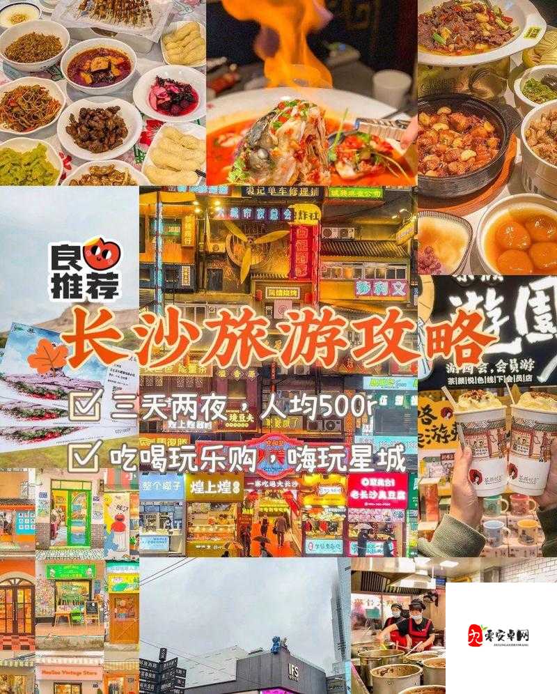 城中村 200 元快餐在哪里？探索实惠美食的秘密地点