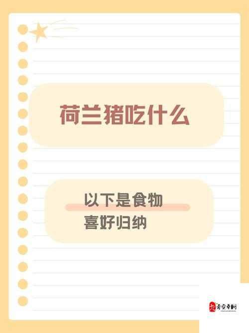 荷兰最忌三种东西是什么？揭秘当地人避之不及的禁忌与习俗