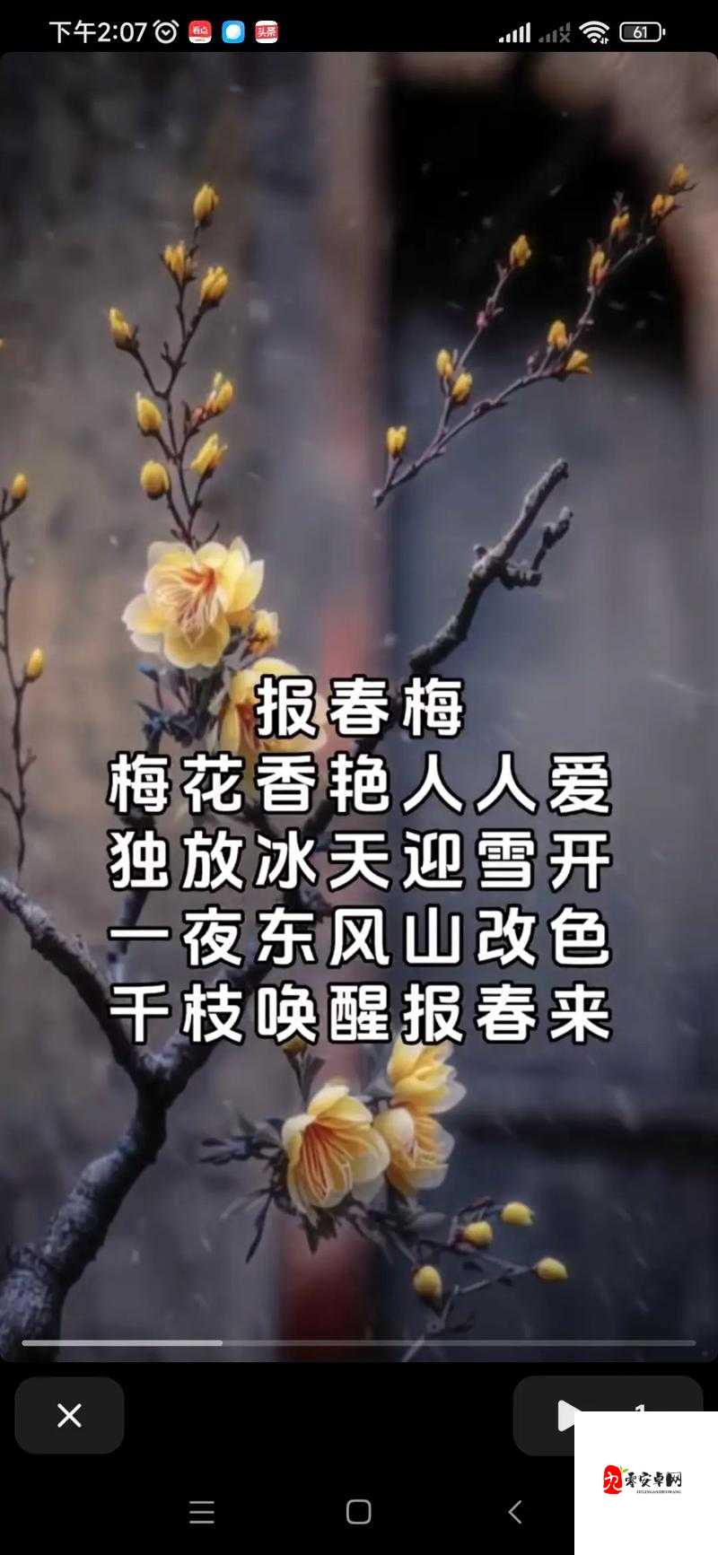 五月丁香花如雪，激情久久醉人心