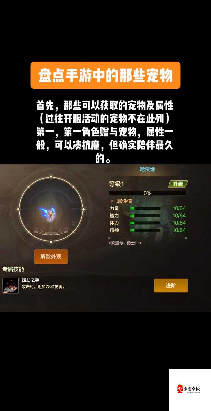 DNF比拉谢尔号宠物怎么获得攻略