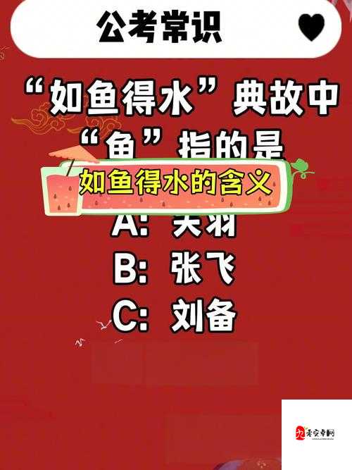 m 新手入门：了解这些，让你在 m 世界中如鱼得水