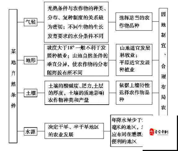 2024年农民工公园交易现象揭秘：背后的社会影响与经济驱动因素分析