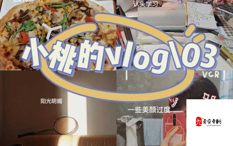 TXVLOG 破解版真的好用吗？它的功能和特点究竟有哪些？快来一探究竟