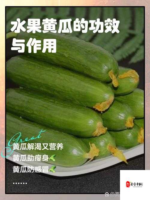 黄瓜和牛奶可以一起吃吗？专家解答来了