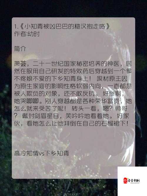 小乖的禁忌日记：糙汉文TXT笔趣阁里的沦陷狂欢